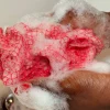 Afrikaanse spons / net sponge - traditionele SAPO spons / scrub spons - Neon groen