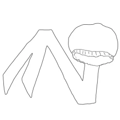Easy headwrap / hoofddoek - Satijnen binnenkant - Mix